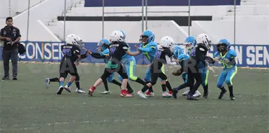 OEFA Chiapas inicia temporada infantil OEFA Chiapas inicia temporada infantil