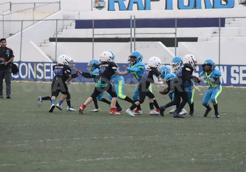 OEFA Chiapas inicia temporada infantil OEFA Chiapas inicia temporada infantil