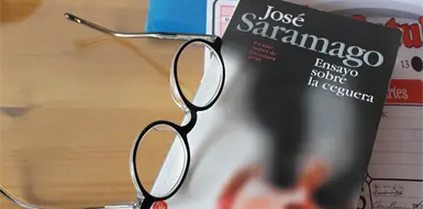 Ensayo sobre la ceguera