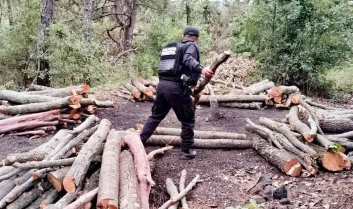 Detectan estructuras que operaban de manera irregular. Cortesía