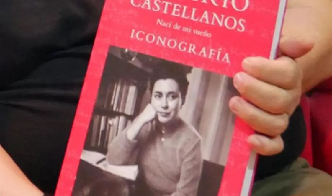 Portada del libro editado por el Consejo Estatal para las Culturas y las Artes de Chiapas. Cortesía