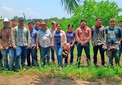 Implementan técnica de cosecha autosustentable Implementan técnica de cosecha autosustentable