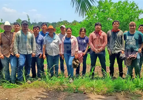 Implementan t&eacute;cnica de cosecha autosustentable