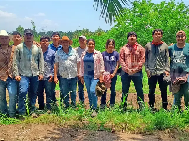 Implementan t&eacute;cnica de cosecha autosustentable