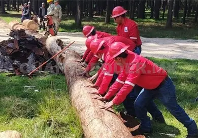Capacitan a brigadas forestales y ambientales