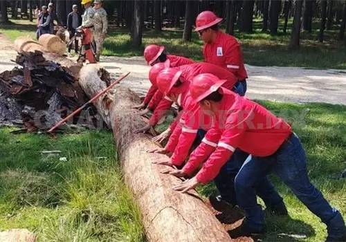 Capacitan a brigadas forestales y ambientales