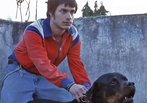 Amores perros ser&aacute; una serie