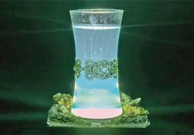 Biodise&ntilde;os llegan al Franz Mayer