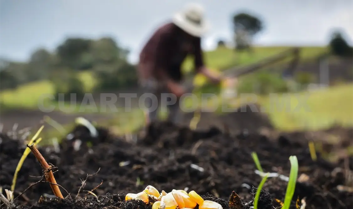 La finalidad de este pronóstico es que la producción agrícola sea segura y no haya pérdidas. Diego Pérez / CP