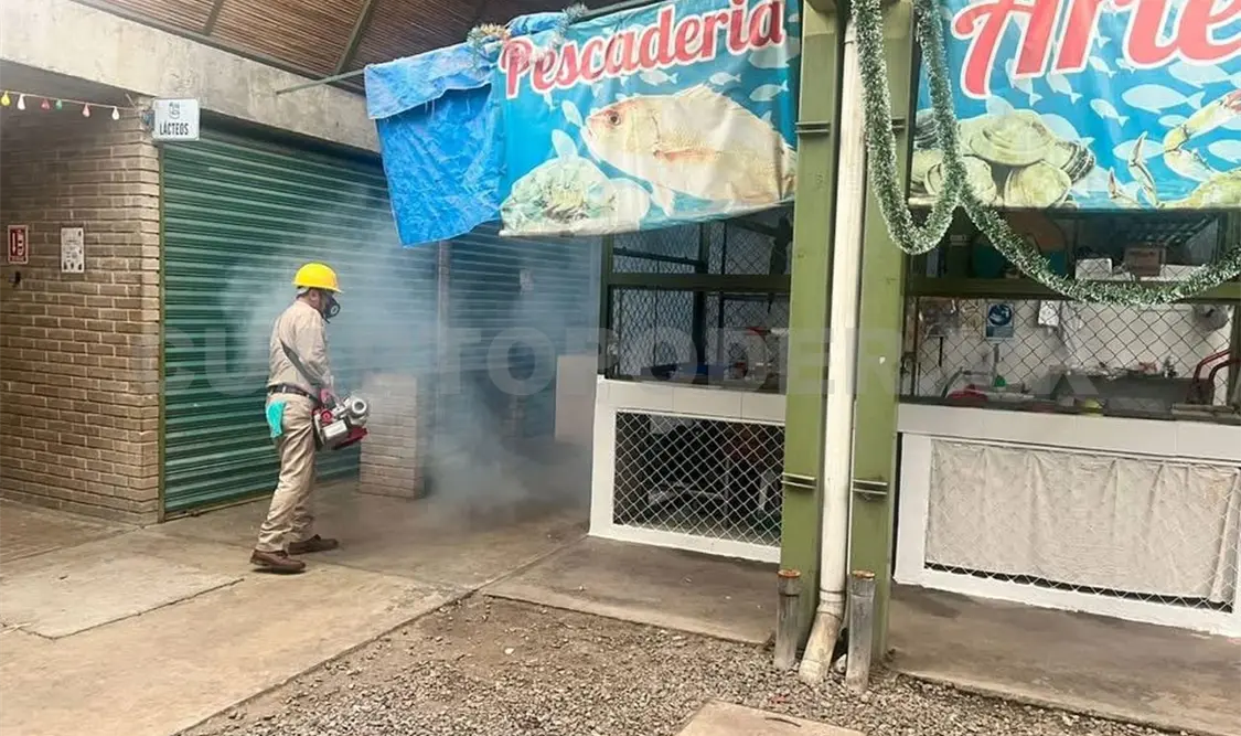Aspecto de la fumigación en los mercados. Rafael Victorio / CP