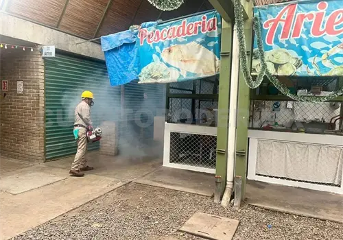 Fumigan mercados contra vectores