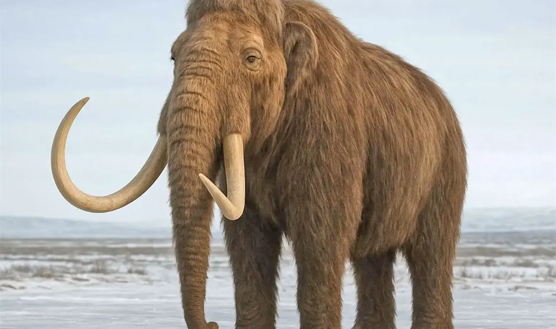 Mamut: el rey de la Edad de Hielo