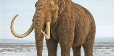 Mamut: el rey de la Edad de Hielo Mamut: el rey de la Edad de Hielo