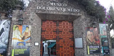 Reabren el Museo Dolores Olmedo Reabren el Museo Dolores Olmedo