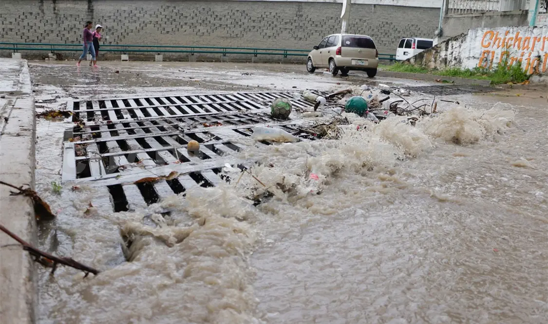 La destrucción de áreas verdes propicia al escurrimiento. CP