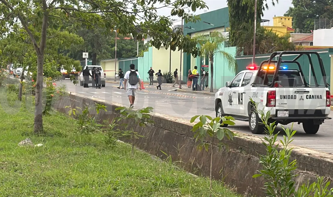 Muere mujer arrollada al tratar de cruzar vía
