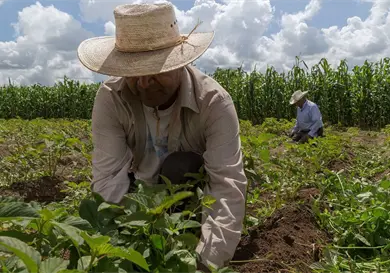 Mantendr&aacute; el pa&iacute;s grado de inversi&oacute;n: UBS