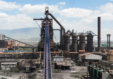 Autoriza jueza subasta de Ahmsa y Minera del Norte