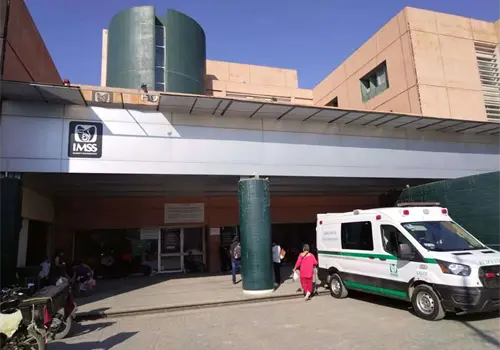 Aumentan casos de gusano barrenador en humanos