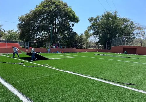 Presume gobierno agilizaci&oacute;n de visas y canchas