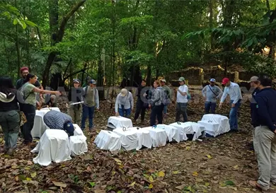 Reintroducen 17 primates en Palenque