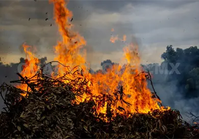 Pese a lluvias, hay un incendio activo