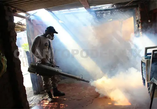 Soltar&aacute;n "zancudos vacunados" para frenar el dengue