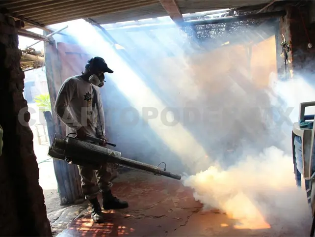 Soltar&aacute;n "zancudos vacunados" para frenar el dengue