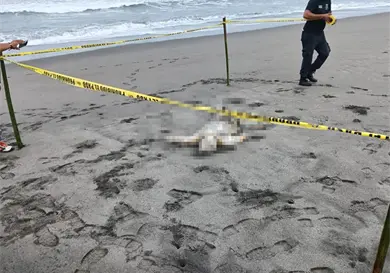 Macabro hallazgo de cadáver en playa Macabro hallazgo de cadáver en playa