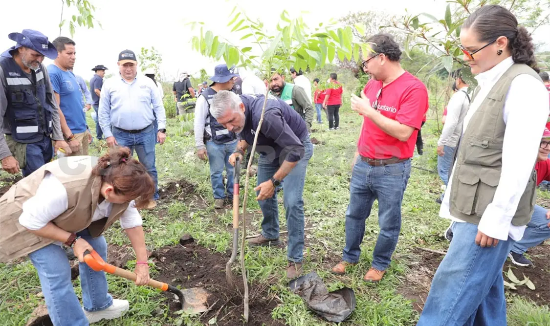 Estas acciones se realizaron en el marco del Día Mundial del Medio Ambiente. Cortesía