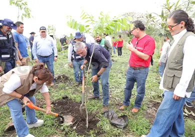 Se suman al llamado de reforestación de ERA Se suman al llamado de reforestación de ERA