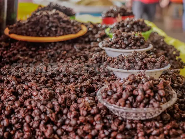 El nuc&uacute; ya est&aacute; presente en mercados p&uacute;blicos