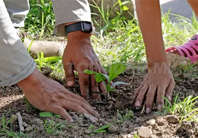 Alerta experta por deterioro ambiental