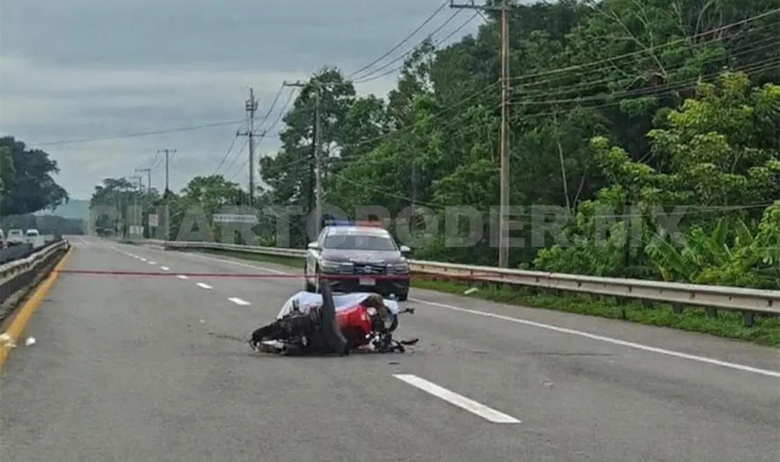 Fue localizado sin vida tras un presunto atropellamiento en la carretera Costera. Cortesía