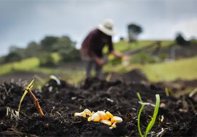 El campo chiapaneco frente a los retos clim&aacute;ticos