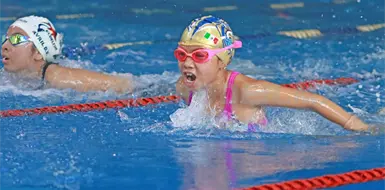 Los nuevos talentos saltan a la alberca Los nuevos talentos saltan a la alberca