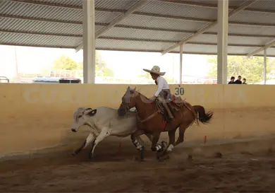 Chiapas domina el Torneo Charro AFA 2026 Chiapas domina el Torneo Charro AFA 2026