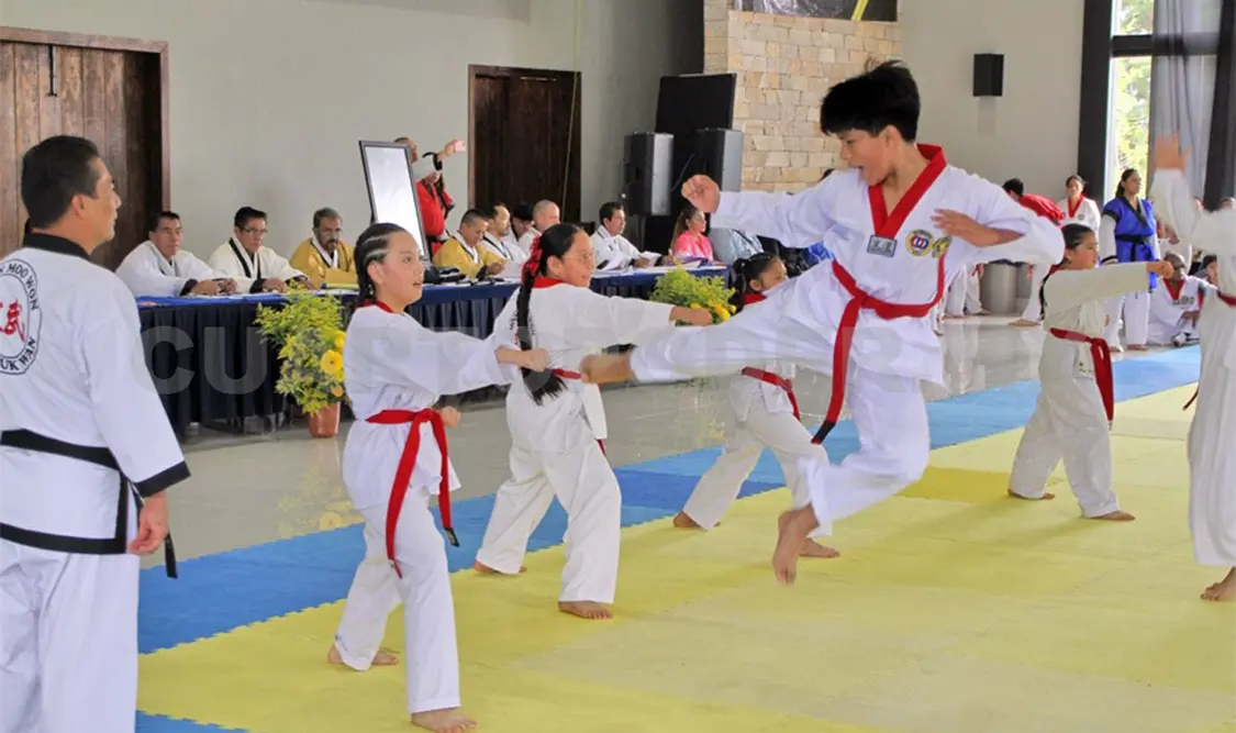 Practicantes de diferentes municipios de Chiapas y del estado de Yucatán participaron en el 153° Examen de Cintas Negras y Grados Mayores efectuado en San Cristóbal. Cortesía