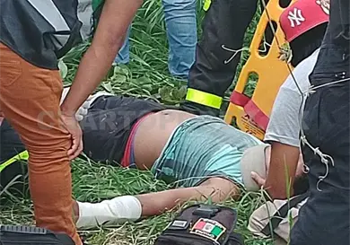 Hombre resulta herido tras caer de un árbol Hombre resulta herido tras caer de un árbol