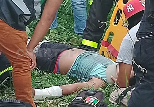 Hombre resulta herido tras caer de un árbol Hombre resulta herido tras caer de un árbol
