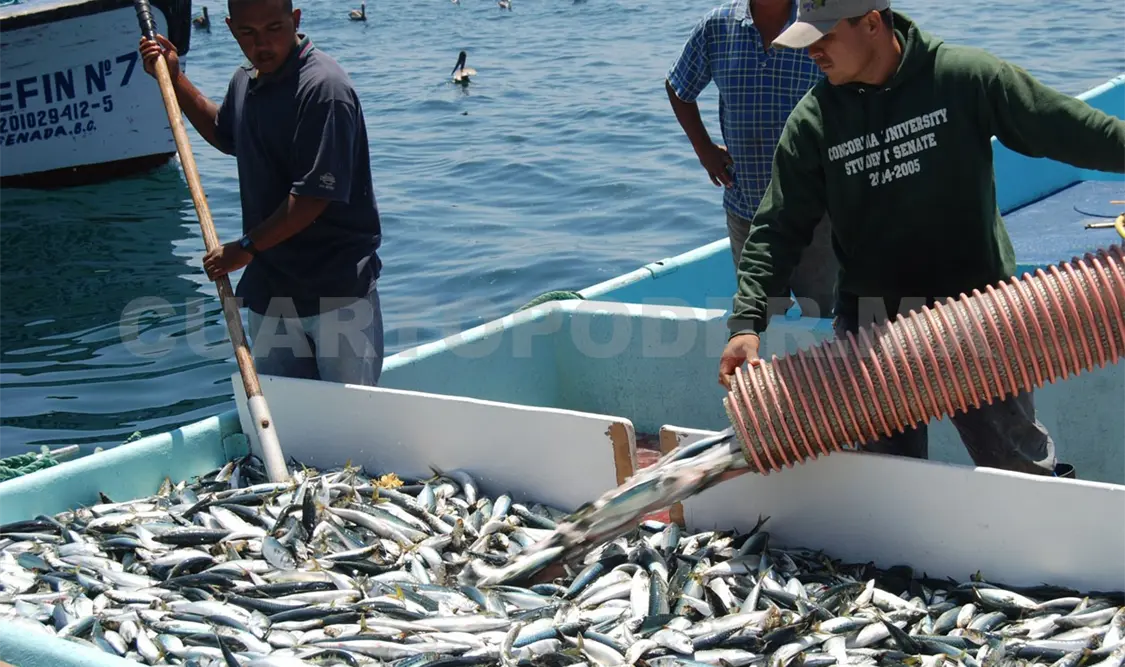 En el evento estuvieron presentes diversas autoridades e investigadores relacionados con la pesca. Cortesía