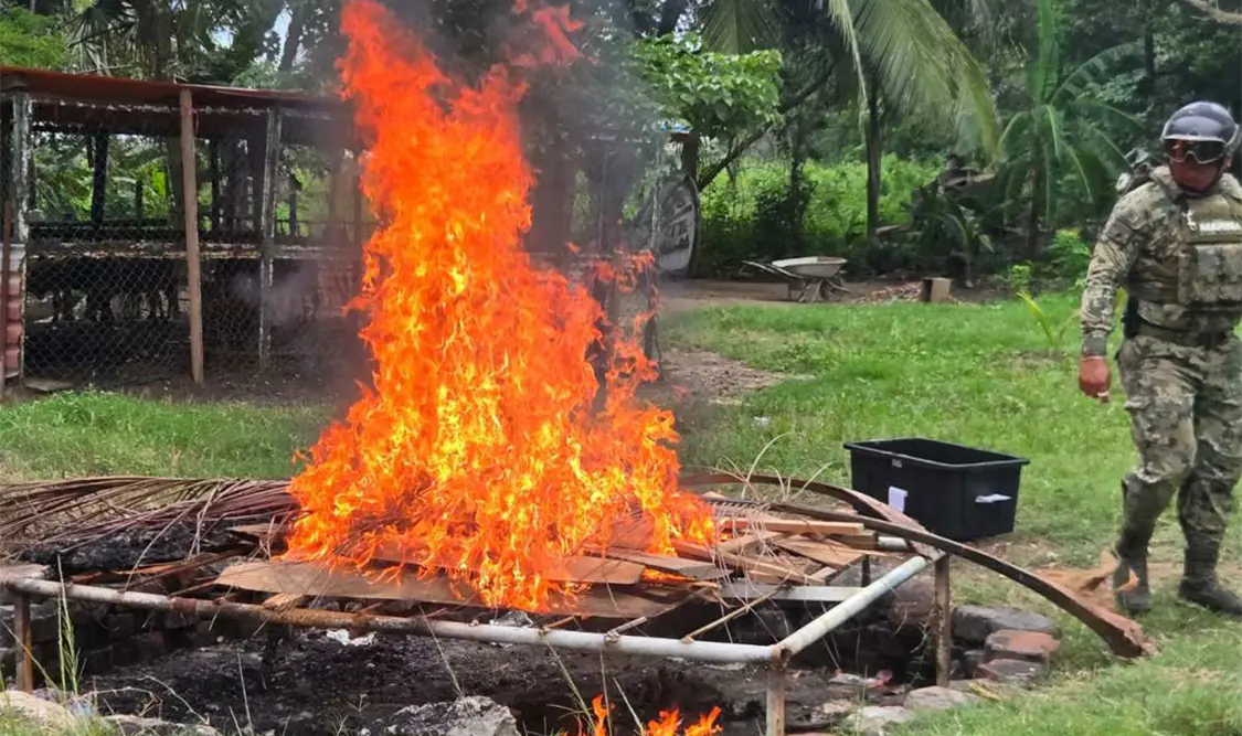 Destruyen 45 artefactos explosivos y 4 granadas