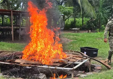 Destruyen 45 artefactos explosivos y 4 granadas Destruyen 45 artefactos explosivos y 4 granadas
