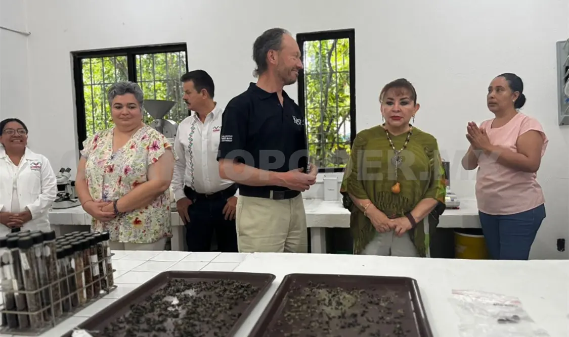 Las semillas que se reguardan permiten proteger las especies para futuras restauraciones. Cortesía