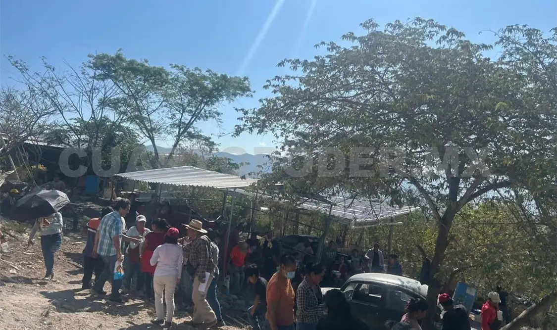 La intervención cumple una función ecosistémica vital para toda la ciudad. CP