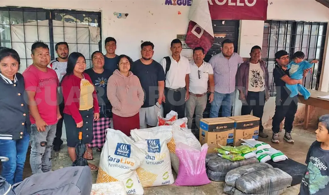 Las comunidades recibieron apoyos para el establecimiento de un semillero vivero de café. Cortesía