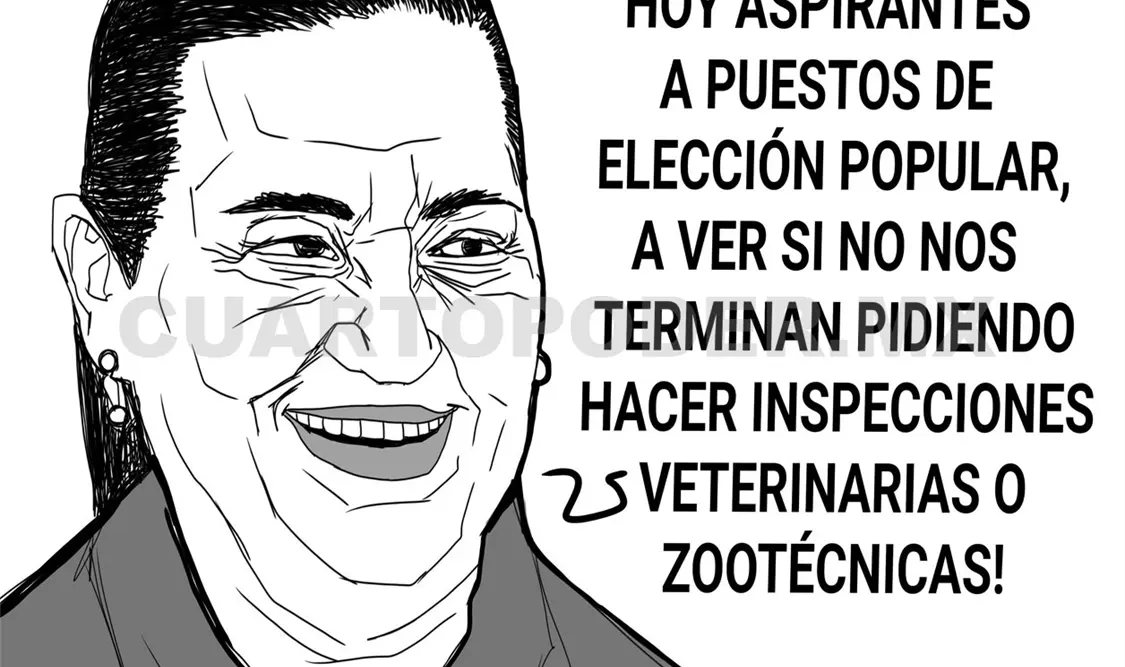 Verificar la integridad de candidaturas
