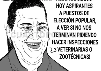 Verificar la integridad de candidaturas Verificar la integridad de candidaturas