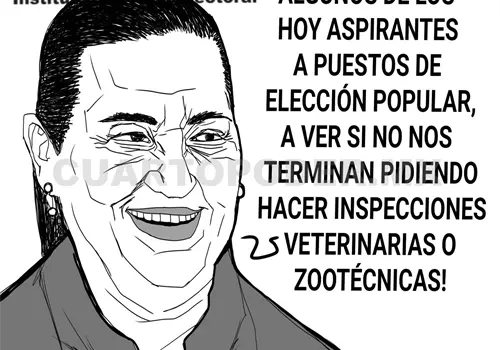 Verificar la integridad de candidaturas Verificar la integridad de candidaturas