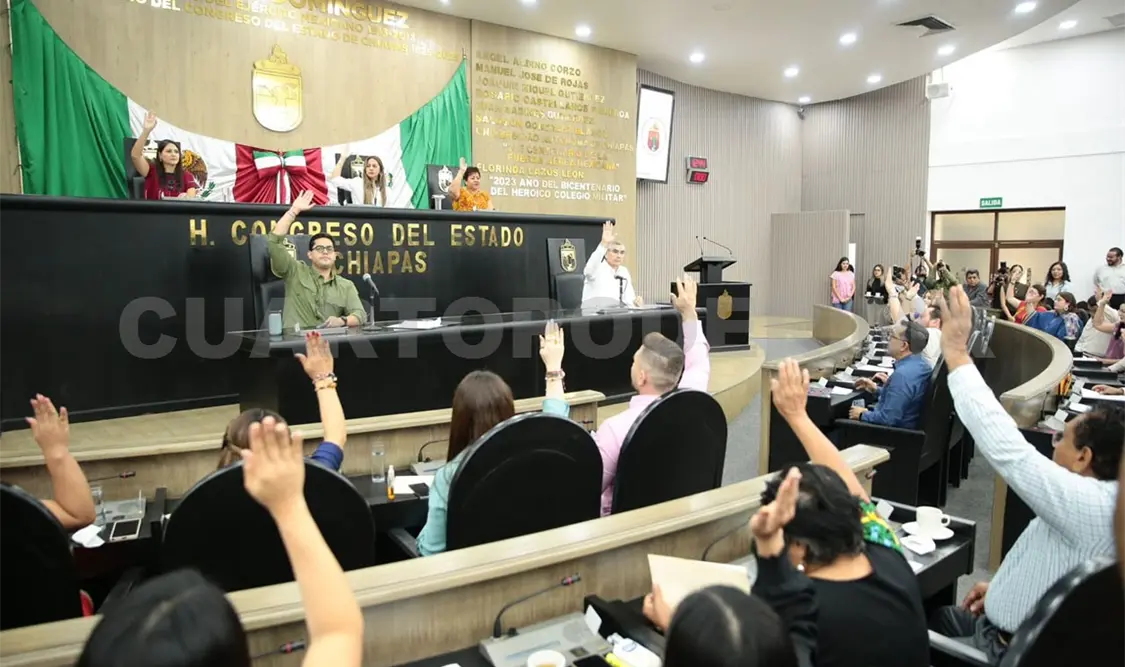 Aunque el acoso callejero ya está tipificado en la ley estatal, no se traduce en acciones del día a día en el ámbito municipal. CP